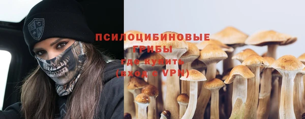 кокс Алзамай