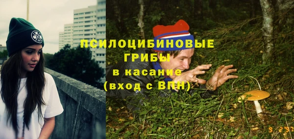 синтетический гашиш Алексин