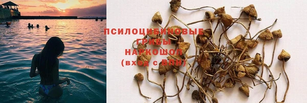 кокс Алзамай