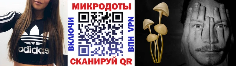Псилоцибиновые грибы мицелий  Петровск-Забайкальский 